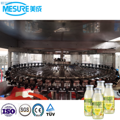 8000BPH GLASS LOUS LICE MACHINE 