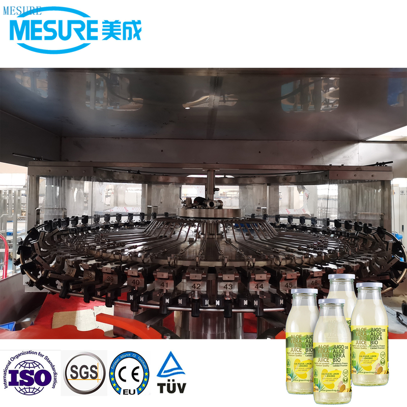 8000BPH GLASS LOUS LICE MACHINE 